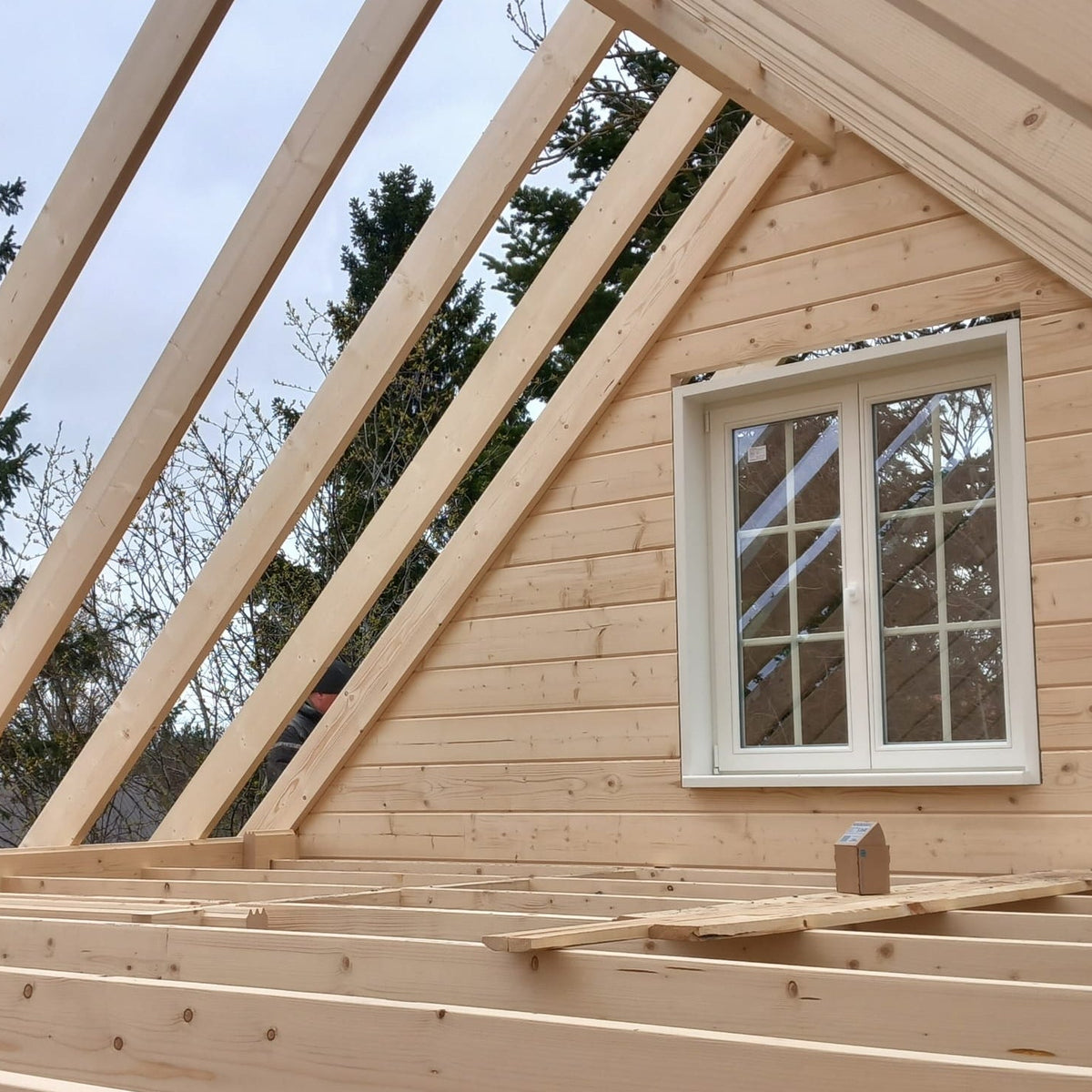 Why Choose Nordlog Homes?
